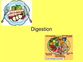 Digestion