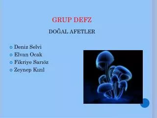 grup defz