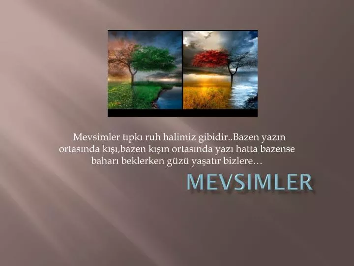 mevsimler