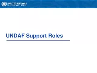 UNDAF Support Roles