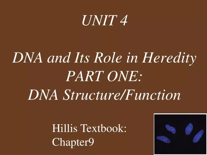 unit 4 dna and its role in heredity part one dna structure function