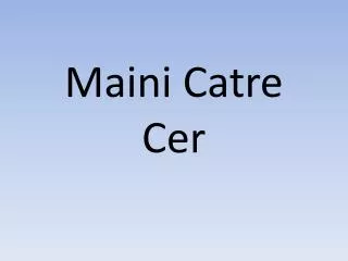 maini catre cer