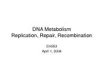 DNA Metabolism Replication, Repair, Recombination - slide 1