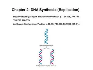 Chapter 2: DNA Synthesis (Replication)