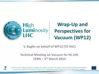 Wrap-Up and Perspectives for Vacuum (WP12)