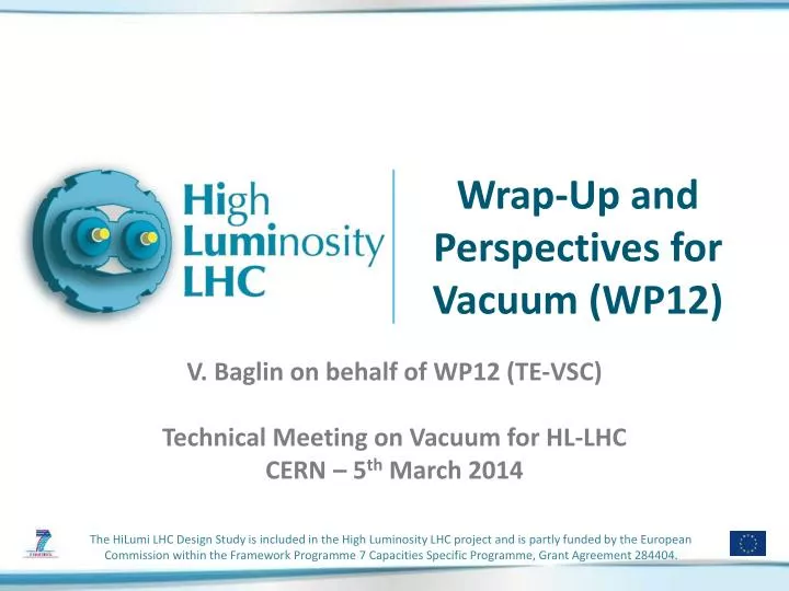 wrap up and perspectives for vacuum wp12
