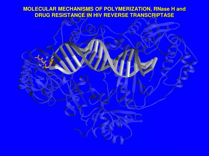 molecular mechanisms of polymerization rnase h and drug resistance in hiv reverse transcriptase