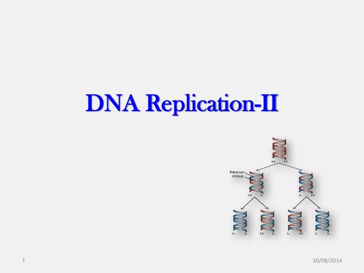 dna r eplication ii