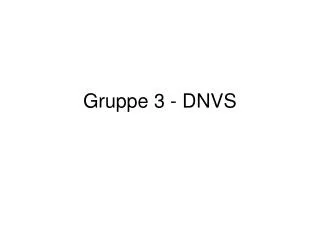 gruppe 3 dnvs