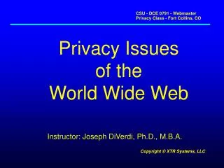 Privacy Issues of the World Wide Web