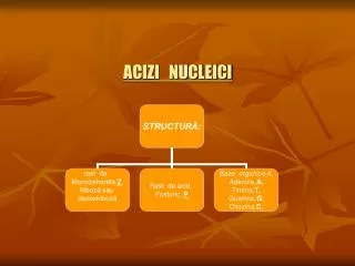acizi nucleici