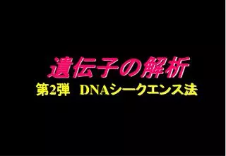 2 dna