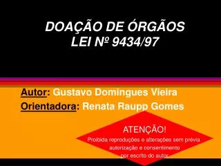 autor gustavo domingues vieira orientadora renata raupp gomes