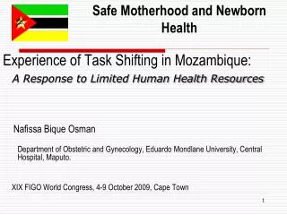 Experience of Task Shifting in Mozambique: A Response to Limited Human Health Resources