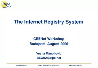 The Internet Registry System