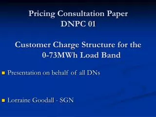 Pricing Consultation Paper DNPC 01 Customer Charge Structure for the 0-73MWh Load Band