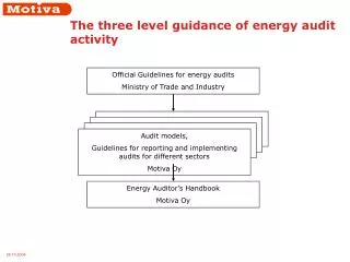 The three level guidance of energy audit activity