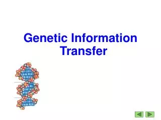Genetic Information Transfer