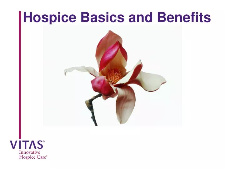 hospice basics and benefits