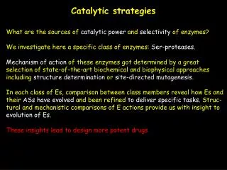 What are the sources of catalytic power and selectivity of enzymes?