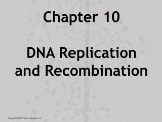 Chapter 10 DNA Replication and Recombination