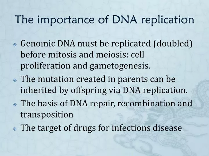 the importance of dna replication