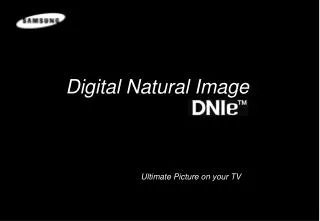 Digital Natural Image
