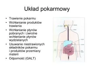 uk ad pokarmowy