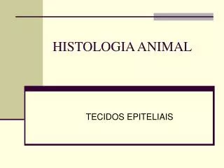 PPT - HISTOLOGIA ANIMAL PowerPoint Presentation, Free Download - ID:861253