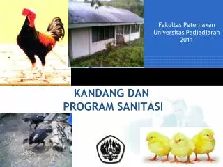 kandang dan program sanitasi