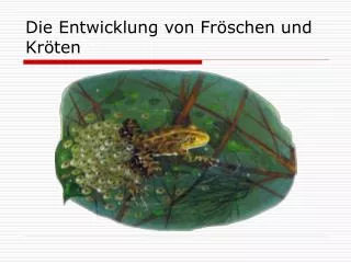 die entwicklung von fr schen und kr ten