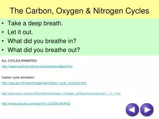 The Carbon, Oxygen &amp; Nitrogen Cycles