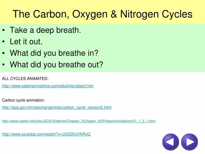 the carbon oxygen nitrogen cycles