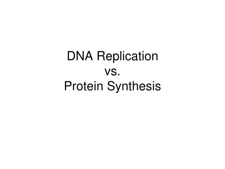 dna replication vs protein synthesis