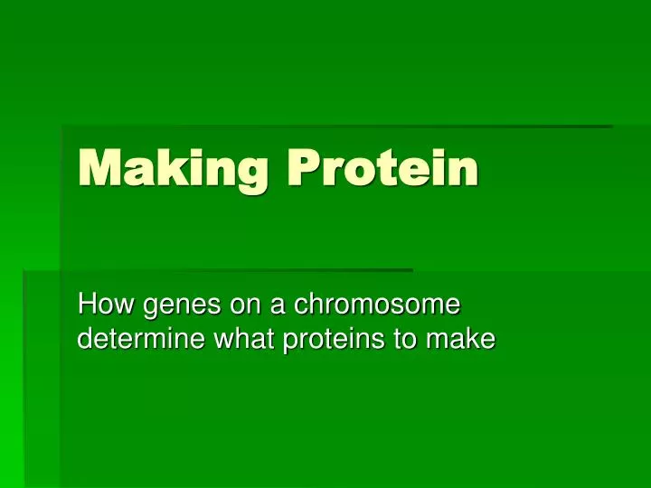 making protein