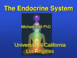 The Endocrine System