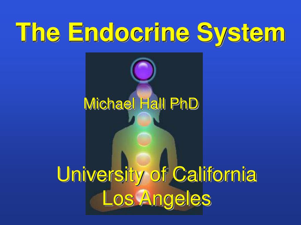 PPT - The Endocrine System PowerPoint Presentation, free download - ID ...