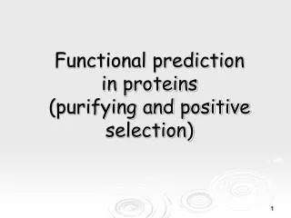 Functional prediction in proteins (purifying and positive selection)