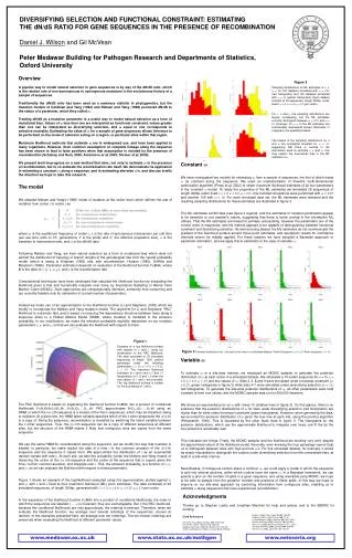 DIVERSIFYING SELECTION AND FUNCTIONAL CONSTRAINT: ESTIMATING