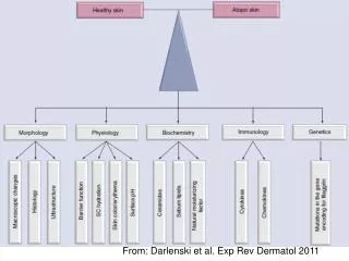 From: Darlenski et al. Exp Rev Dermatol 2011