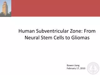 Human Subventricular Zone: From Neural Stem Cells to Gliomas