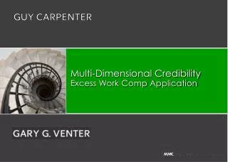 Multi-Dimensional Credibility Excess Work Comp Application