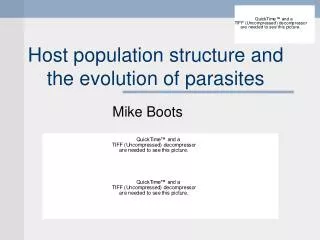 Host population structure and the evolution of parasites