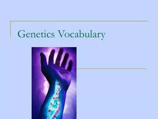 Genetics Vocabulary