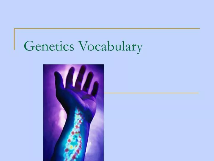 genetics vocabulary
