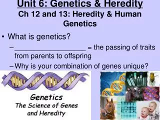 Unit 6: Genetics &amp; Heredity Ch 12 and 13: Heredity &amp; Human Genetics
