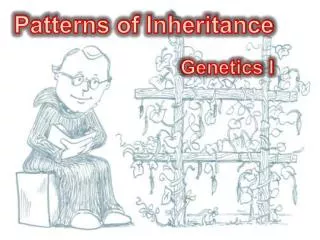 Patterns of Inheritance