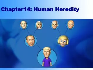 Chapter14: Human Heredity