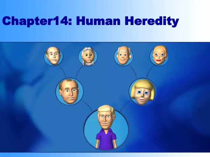 chapter14 human heredity