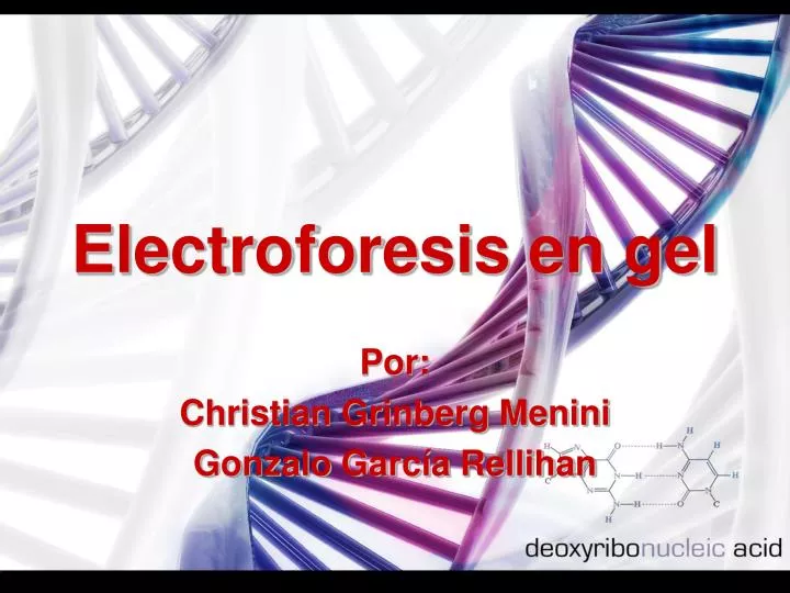 electroforesis en gel